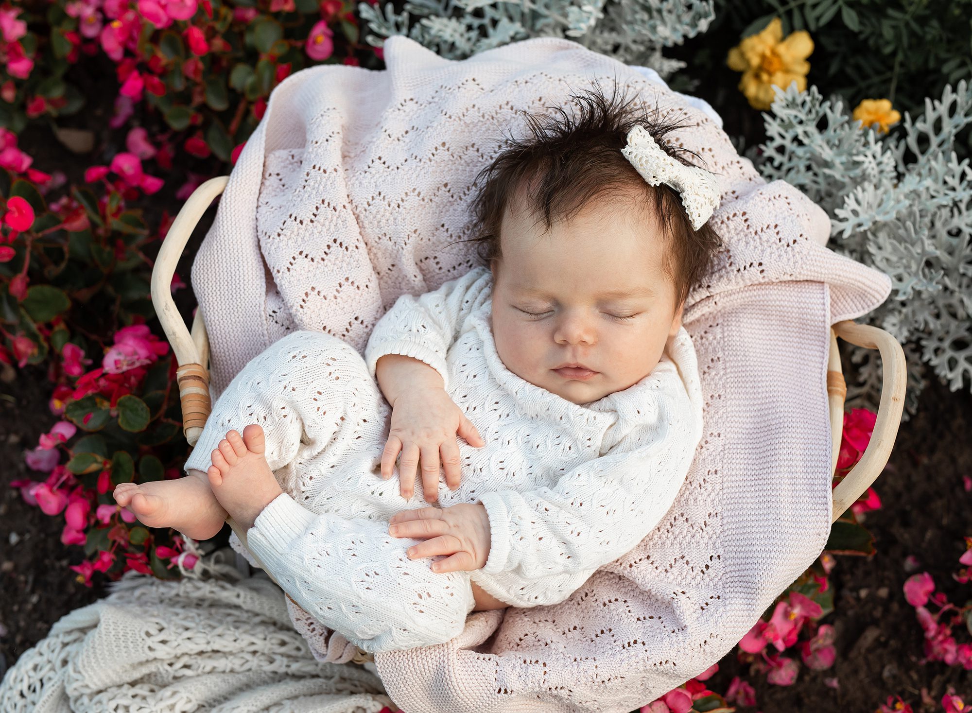 outdoor newborn flower garden session for baby girl I oakville photographer